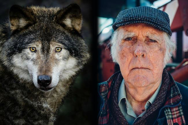 Preview THE WOLVES ARE COMING FOR YOU at the Everyman Studio, Cheltenham