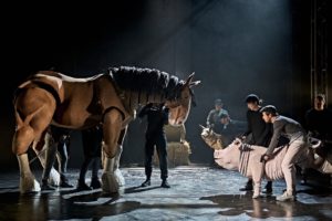 Animal Farm – Boxer (puppeteers Elisa De Gray, Matt Tait and Rayo Patel) and Squeela (puppeteers Ailsa Dalling and Matt Churcher) – Credit Manuel Harlan copy