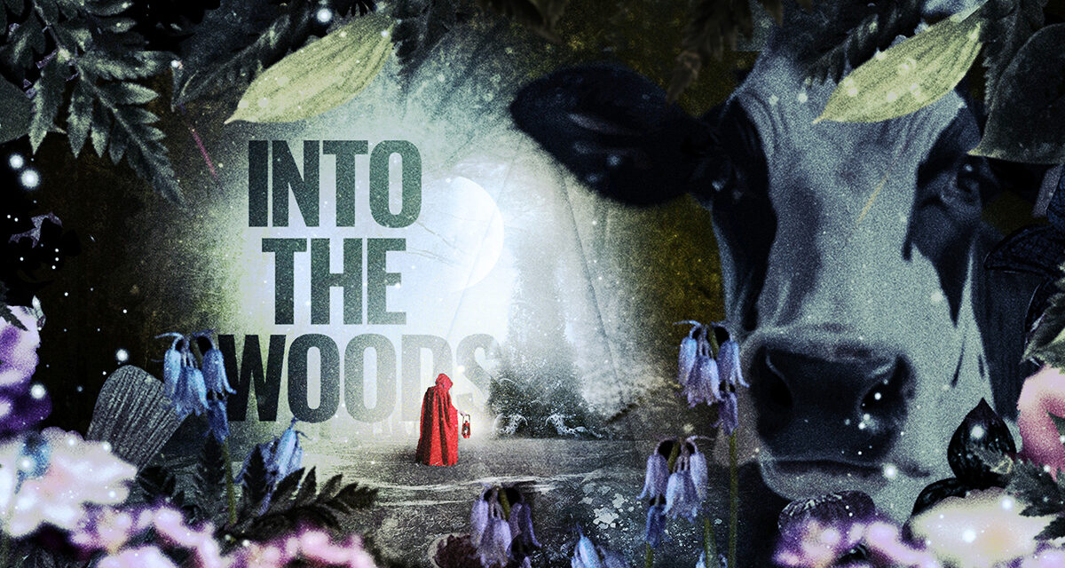 INTO THE WOODS at The Redgrave Theatre, Bristol