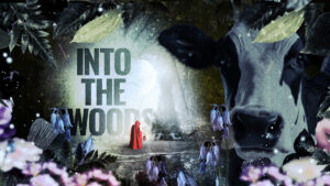 BOVTS_ Into the Woods _Twitter