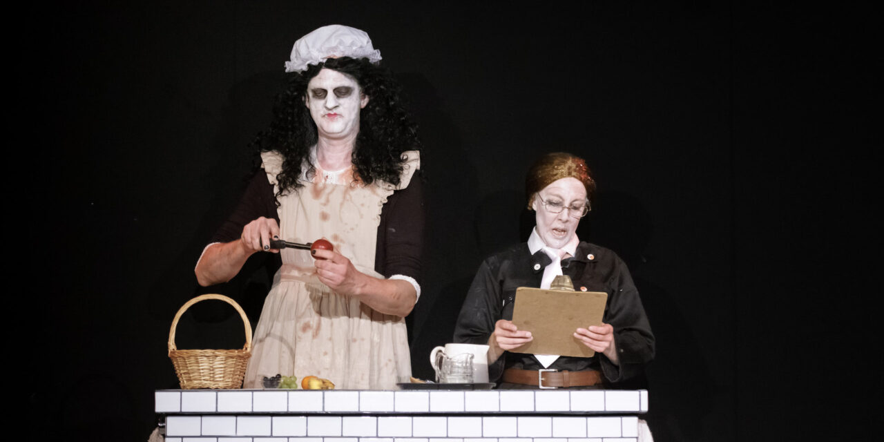 THERE’S SOMETHING ABOUT TYPHOID MARY at The Wardrobe Theatre