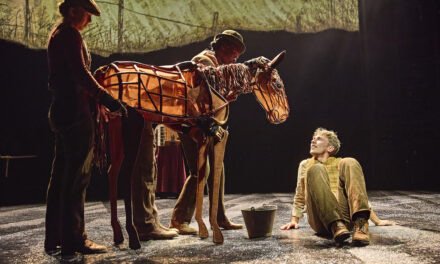 Review: WAR HORSE at Bristol Hippodrome