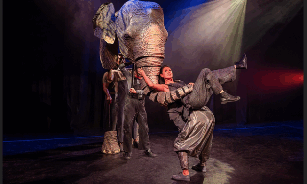 Review:  THE VANISHING ELEPHANT at Oxford Playhouse Theatre