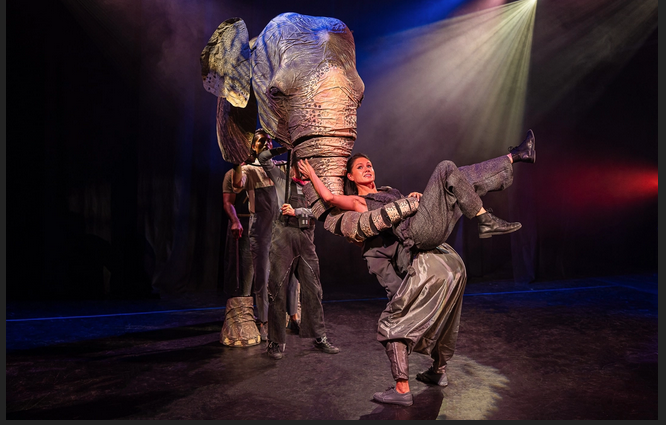 Review:  THE VANISHING ELEPHANT at Oxford Playhouse Theatre