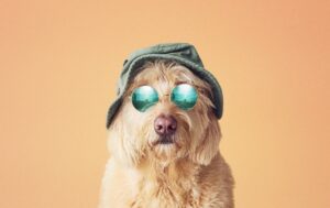 The Gentlemen of Verona_ portrait_ no title_ 2025_2025_391830