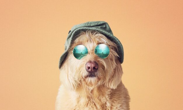 Review:  THE TWO GENTLEMEN OF VERONA at The Other Place Theatre, Stratford-upon-Avon