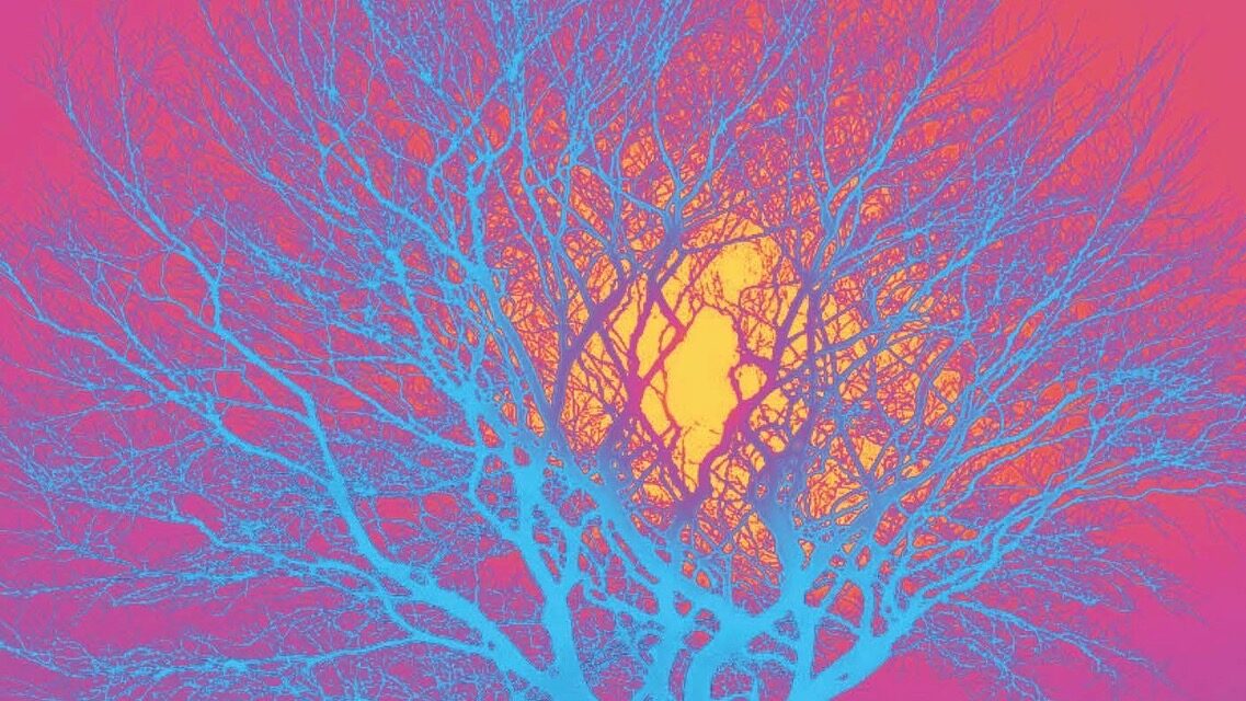 MACBETH/LADY MACBETH at Alma Tavern Theatre