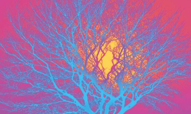 Review: MACBETH/LADY MACBETH at Alma Tavern Theatre